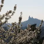 V Raji - Palda Camping